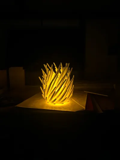 https://makerworld.bblmw.com/makerworld/comment/20260205/2165614781/54bf6e158dd9c036.jpg