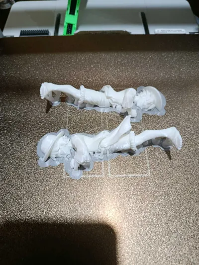 https://makerworld.bblmw.com/makerworld/comment/20260205/2180971878/fa62f6a941114f75.jpg