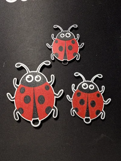https://makerworld.bblmw.com/makerworld/comment/20260205/2282156597/3604978ed028207b.jpg