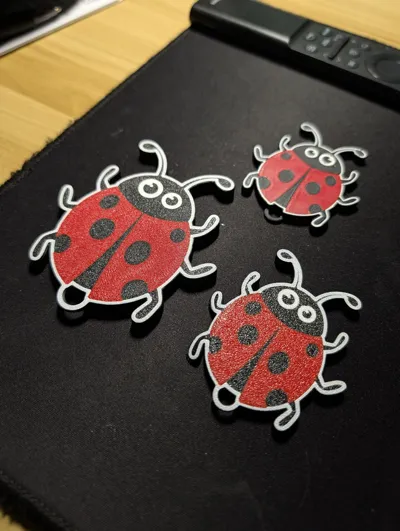 https://makerworld.bblmw.com/makerworld/comment/20260205/2282156597/aa5bba919f18f743.jpg