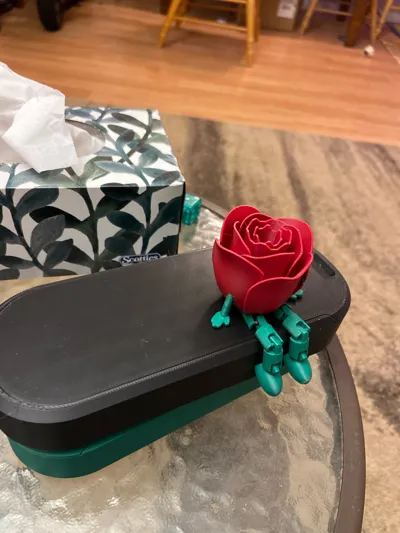 https://makerworld.bblmw.com/makerworld/comment/20260205/2374233785/0c4859bbc30fa364.jpg
