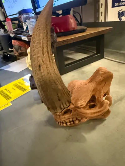 https://makerworld.bblmw.com/makerworld/comment/20260205/2387606366/50b7e241fa11d7a0.jpg