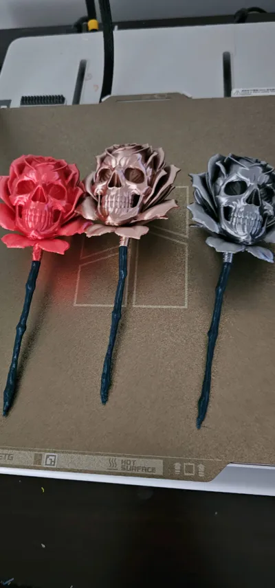 https://makerworld.bblmw.com/makerworld/comment/20260205/2870177436/e53d72bee105b206.jpg