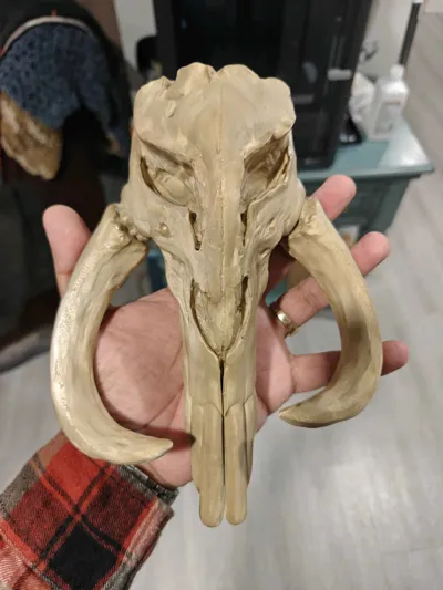 https://makerworld.bblmw.com/makerworld/comment/20260205/3171981018/689d819e7198b39d.jpg