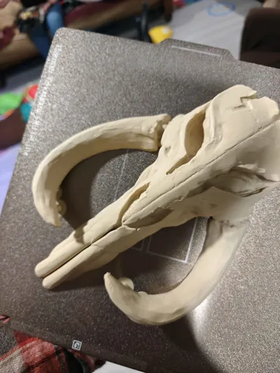 https://makerworld.bblmw.com/makerworld/comment/20260205/3171981018/c3432b8f0a2f201f.jpg