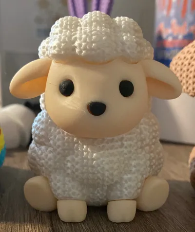 https://makerworld.bblmw.com/makerworld/comment/20260205/3792315822/fc6b49334896a969.jpeg