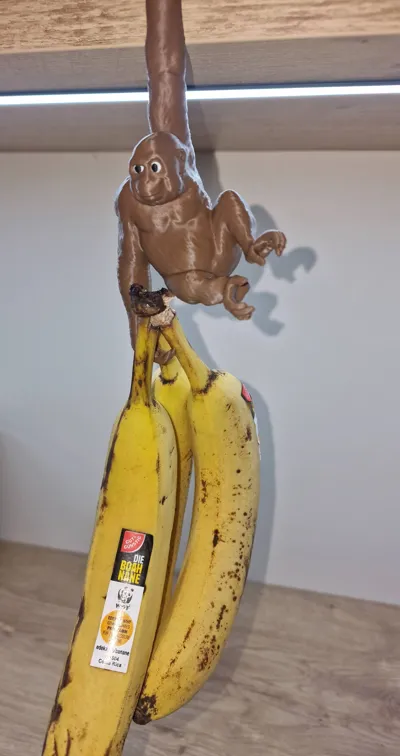 https://makerworld.bblmw.com/makerworld/comment/20260205/4074477922/306a20bfec5a4355.jpg