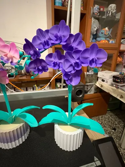 https://makerworld.bblmw.com/makerworld/comment/20260205/408846587/af77f1a9d6ab8c11.jpg