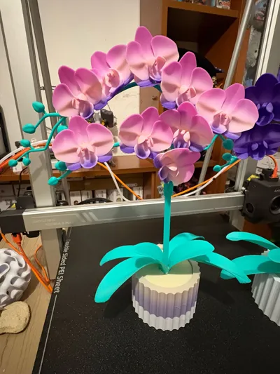 https://makerworld.bblmw.com/makerworld/comment/20260205/408846587/ffcc132ae84d7eda.jpg