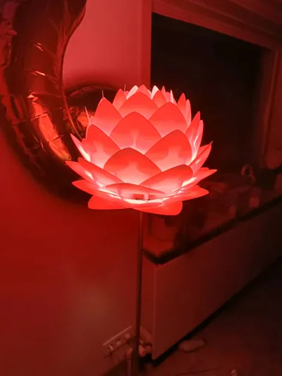 https://makerworld.bblmw.com/makerworld/comment/20260205/4138088022/e3fb5e3f6445c8ec.jpg