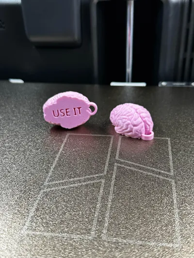 https://makerworld.bblmw.com/makerworld/comment/20260205/4260732727/efa55425f42015a4.jpg