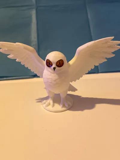 https://makerworld.bblmw.com/makerworld/comment/20260205/716327560/9f566033b895517a.jpg