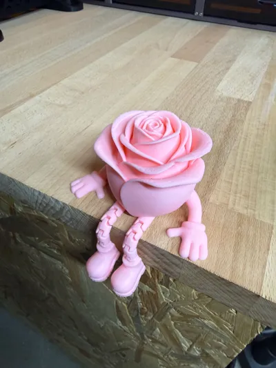 https://makerworld.bblmw.com/makerworld/comment/20260205/724305189/06a5d80473921664.jpg