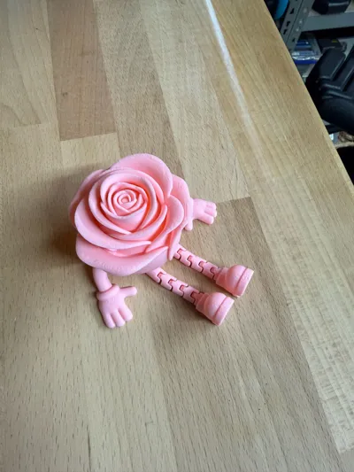 https://makerworld.bblmw.com/makerworld/comment/20260205/724305189/3083a8fb5f2de6d6.jpg