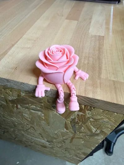 https://makerworld.bblmw.com/makerworld/comment/20260205/724305189/599654d4fa5f16eb.jpg