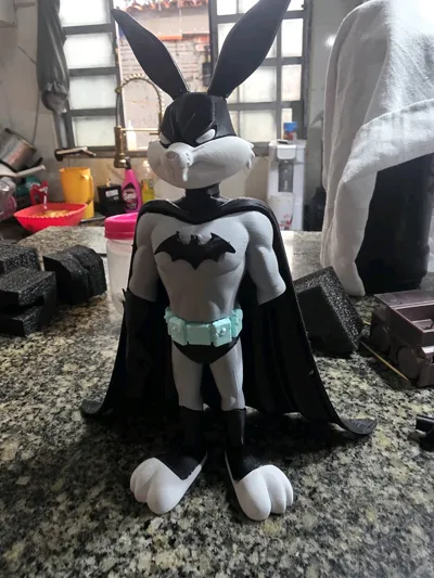 https://makerworld.bblmw.com/makerworld/comment/20260206/1096146514/2633fd8381ab148c.jpg