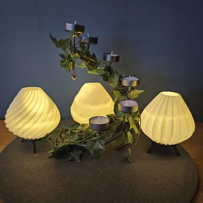 https://makerworld.bblmw.com/makerworld/comment/20260206/1173095296/e003886b0457b144.jpg