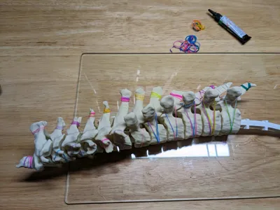 https://makerworld.bblmw.com/makerworld/comment/20260206/119997105/9de45164f02cd81b.jpg