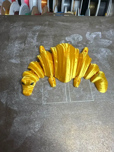 https://makerworld.bblmw.com/makerworld/comment/20260206/2007890173/5446114bbccdf4f8.jpg