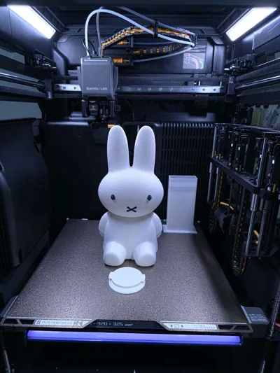 https://makerworld.bblmw.com/makerworld/comment/20260206/2231318074/0542ebaf3a79e97a.jpg