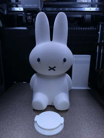 https://makerworld.bblmw.com/makerworld/comment/20260206/2231318074/4e007abdfa8e9801.jpg