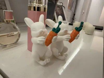 https://makerworld.bblmw.com/makerworld/comment/20260206/227346140/2574eb8e66ac064b.jpeg