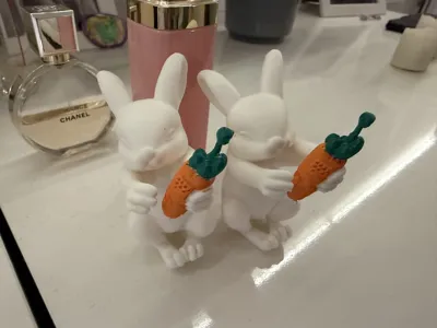 https://makerworld.bblmw.com/makerworld/comment/20260206/227346140/4e50aba0a1cbf12f.jpeg