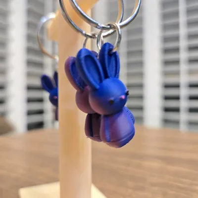 https://makerworld.bblmw.com/makerworld/comment/20260206/2385390013/e55594826e6e0ade.jpg