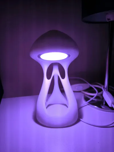 https://makerworld.bblmw.com/makerworld/comment/20260206/2514700748/1b4a5ddd28c97509.jpg