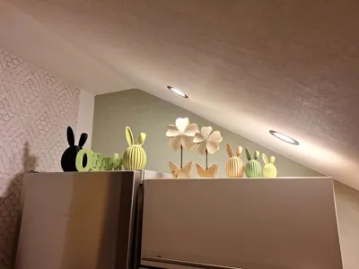 https://makerworld.bblmw.com/makerworld/comment/20260206/2668243221/a696195b4e795565.jpg