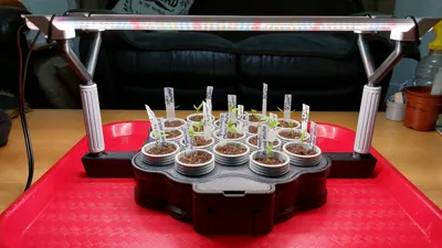 https://makerworld.bblmw.com/makerworld/comment/20260206/2859069136/bc9217dfd5aad45e.jpg