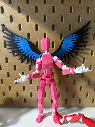 https://makerworld.bblmw.com/makerworld/comment/20260206/3605169046/35677e1834afbb9a.jpg