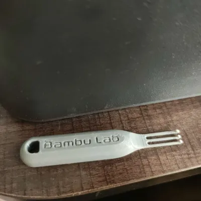 https://makerworld.bblmw.com/makerworld/comment/20260206/4063867076/fe4aa9672f2132af.jpg