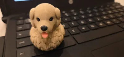 https://makerworld.bblmw.com/makerworld/comment/20260206/4235952308/3650fbe90a924d4d.jpg