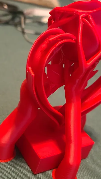 https://makerworld.bblmw.com/makerworld/comment/20260206/484627368/5f053f9094a987dc.jpg