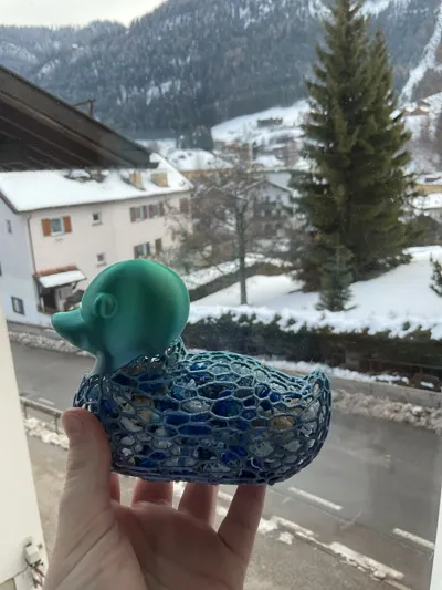 https://makerworld.bblmw.com/makerworld/comment/20260206/831625872/97227e44fb830063.jpg