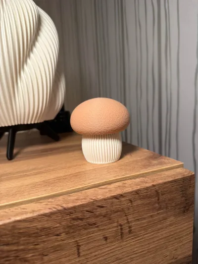https://makerworld.bblmw.com/makerworld/comment/20260206/967904360/a89c904291654fd4.jpg