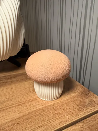 https://makerworld.bblmw.com/makerworld/comment/20260206/967904360/d66e3c41806470f8.jpg