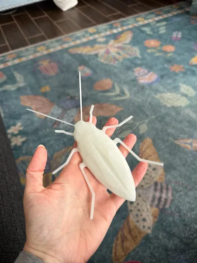 https://makerworld.bblmw.com/makerworld/comment/20260207/1004035614/b18dacad7e8d3530.jpg
