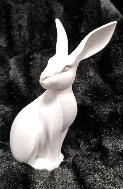https://makerworld.bblmw.com/makerworld/comment/20260207/1010936684/7ddc0f989254b185.jpg