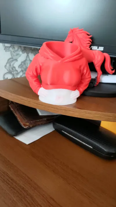 https://makerworld.bblmw.com/makerworld/comment/20260207/120967991/31ba494fbb3c0003.jpg
