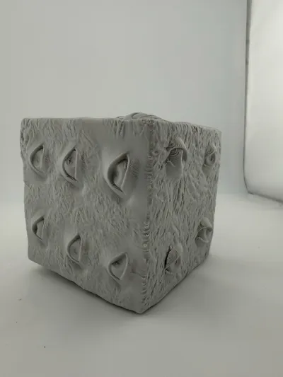 https://makerworld.bblmw.com/makerworld/comment/20260207/1348030572/5757c8956f1214d0.jpg
