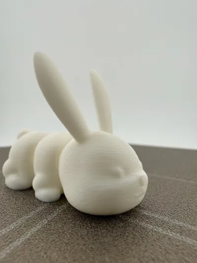 https://makerworld.bblmw.com/makerworld/comment/20260207/1348030572/76a40fb6dde23ec5.jpg