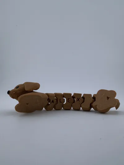 https://makerworld.bblmw.com/makerworld/comment/20260207/1348030572/a0d54389a4ab287b.jpg