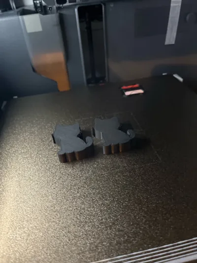 https://makerworld.bblmw.com/makerworld/comment/20260207/168235884/fb4733eee1073647.jpg