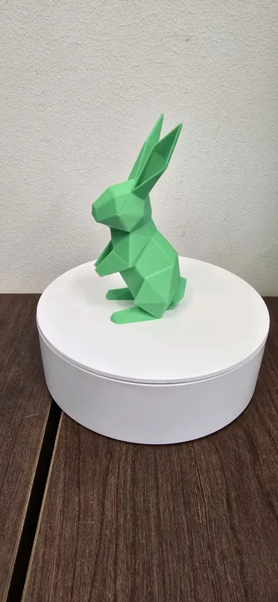 https://makerworld.bblmw.com/makerworld/comment/20260207/1826684329/ebcbd7acc4c901a3.jpg