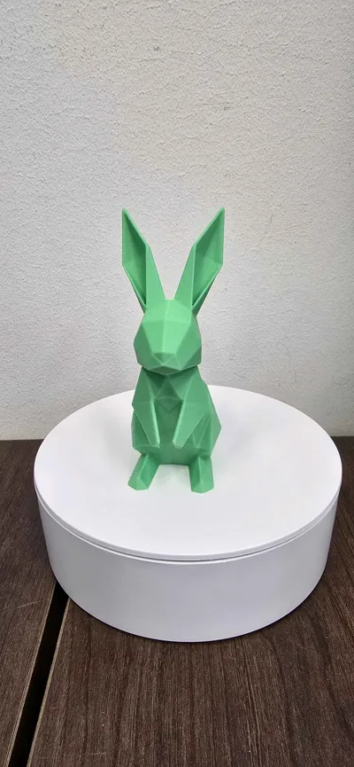 https://makerworld.bblmw.com/makerworld/comment/20260207/1826684329/f4cb77e9a8a3e401.jpg