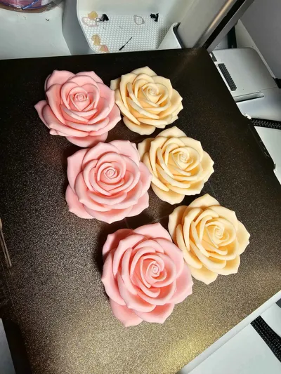 https://makerworld.bblmw.com/makerworld/comment/20260207/2550276181/caa0436dfd9f7c76.jpg