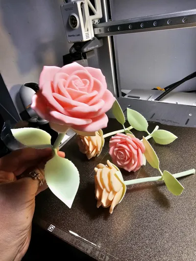 https://makerworld.bblmw.com/makerworld/comment/20260207/2550276181/eeda91844f0ee538.jpg