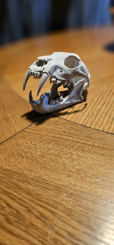 https://makerworld.bblmw.com/makerworld/comment/20260207/2650995503/b013966409566ef2.jpg
